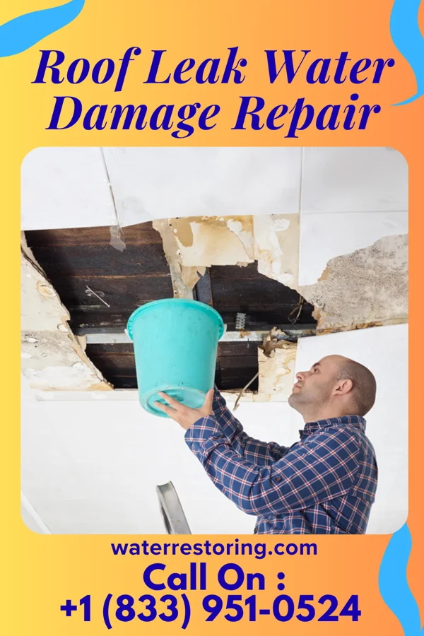 Roof Leak Water Damage Repair in Prairie View, KS